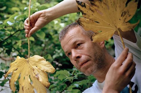 Wolfgang Tillmans Adjusts His Focus In Search Of Truth The Allure