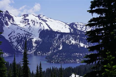 Snow Moutain Lake Forest Landscape In Garibaldi Provincial Park Stock