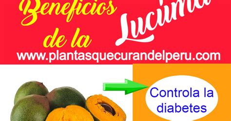 ¿cómo te puedes curar la diabetes teniendo uno o varios amantes? Plantas que curan del PERU : 5 Beneficios de la lucúma ...