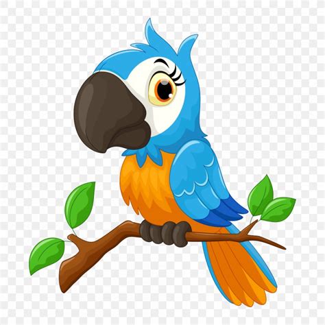Parrot Cartoon Bird Illustration Png 1000x1000px Parrot Beak Bird