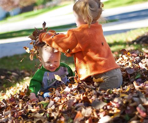 Images Of Fall Rob Webster Creative Communication