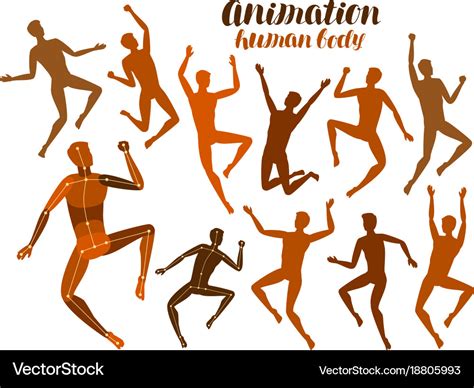 Animation Of Human Body Anatomy People In Motion Vector Image