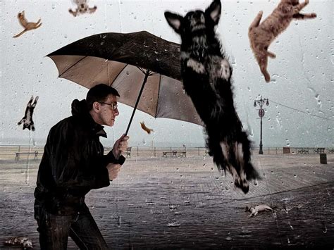 Raining Cats And Dogs Idiom Meaning And Sentence