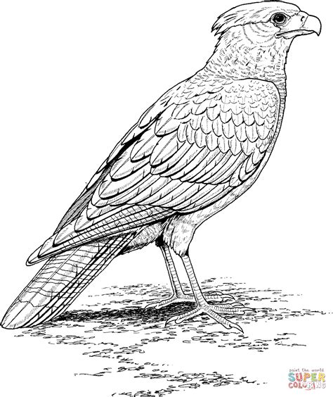 1963 falcon, comet convertible console box liner $ 54.99 $ 49.99; Falcon coloring page | Free Printable Coloring Pages
