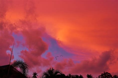 Increíbles Nubes Rojas Al Atardecer Contra El Cielo Azul Foto Premium