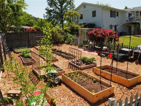 Low Maintenance Backyard Design Concepts | Fruit garden layout, Garden