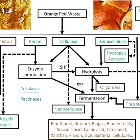 Utilisationupgrading Of Orange Peel Waste From A Biological