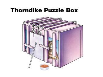 Thorndike puzzle box theory investing subscriptions to forex signals