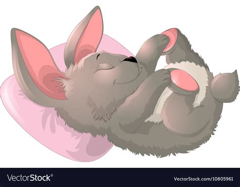 Sleep Bunny On A White Background Royalty Free Vector Image