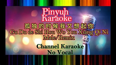 Gu Du De Shi Hou Wo You Xiang Qi Ni《孤独的时候我又想起你 Cover 》karaoke Remix