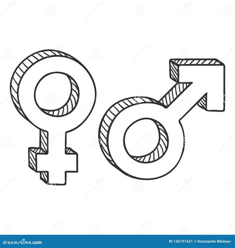 Vector Sketch Gender Symbols Male And Female Stock Vector