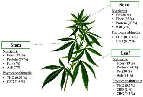 plants free full text cannabis sativa cannabinoids as functional ingredients in snack foods