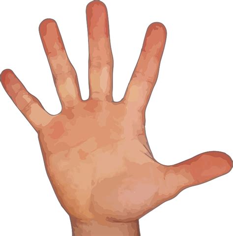 Hand With Five Fingers Png Png Mart