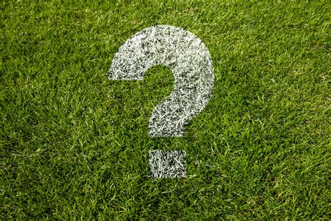 Insurance For Landscapers 6 Questions To Ask Before Renewing