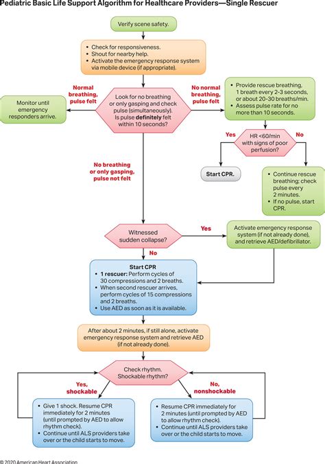 Pediatric Basic Life Support Bls Algorithm For Healthcare Grepmed