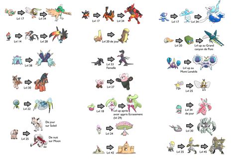 Pokémon Niveau Dévolution évolution De Tout Les Pokémon Brapp