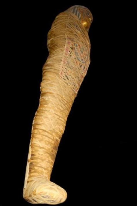 the many layers of an egyptian mummy egyptian mummies egyptian mummy