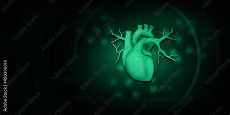 Human Heart Anatomy 3d Illustration Stock Illustration Adobe Stock
