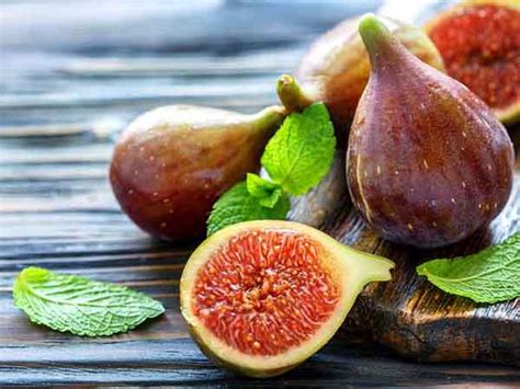 We did not find results for: Agriplaza::Fruit Crops