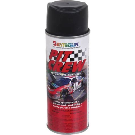 The reasons good finishes are difficult are: Black Wrinkle Finish Paint - 12 Oz. Spray Can