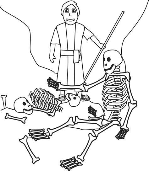 Camels form the genus camelus. My Children's Curriculum: January 2014