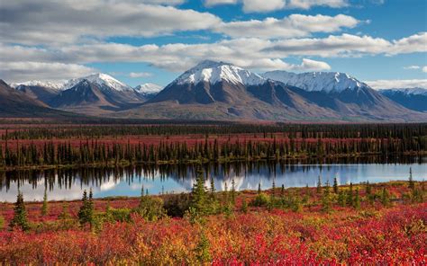 Wallpaper Alaska Mountains Forest Autumn River Usa 1920x1200 Hd