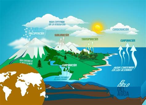 Ciclos Biogeoquímicos Explicación Y Ejemplos Mi Apunte Escolar