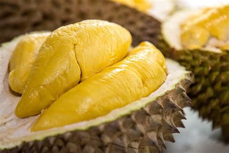 Bagi penikmat bakso, pasti kalian ingin mencoba bakso unik ini. Durian Gave Melbourne Uni Students Bomb Scare