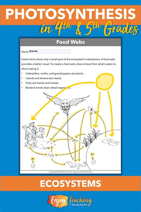 How To Teach Photosynthesis To Fourth And Fifth Grade Kids