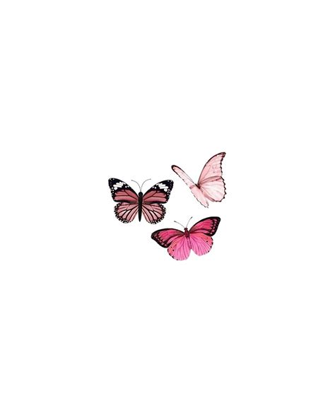 Aesthetic Pictures Butterfly