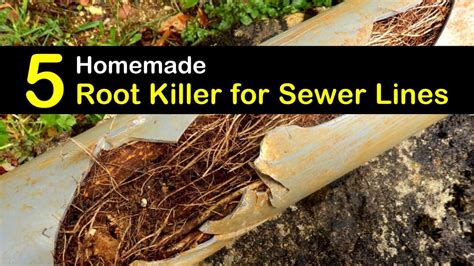 When disaster strikes, homeowners insurance can help you repair the damage. Does septic root killer work?