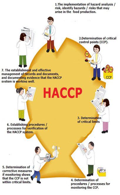 The 7 principles of haccp are a series of guidelines that follow the rules and regulations set forth by the u.s. What Is An Example Of A Haccp Principle