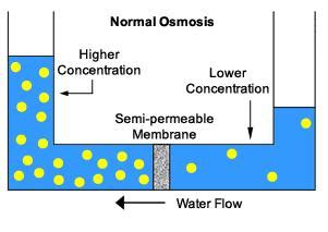 osmosis | Water Treatment | Waste Water Treatment | Water Treatment ...