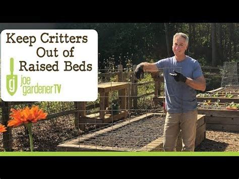 Maybe you would like to learn more about one of these? (6) How to Keep Critters Out of Your Raised Bed Garden ...