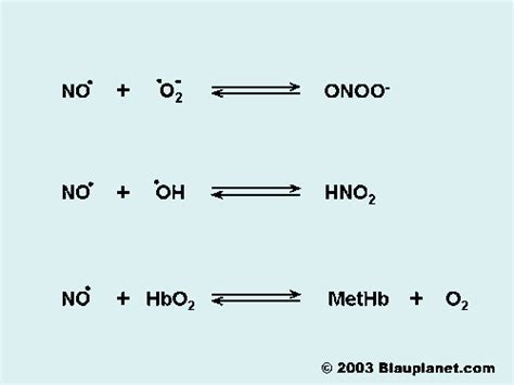 The Molecule Of Nitric Oxide No