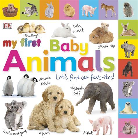 My 1st Baby Animals Lets Find Our Favori Board Book