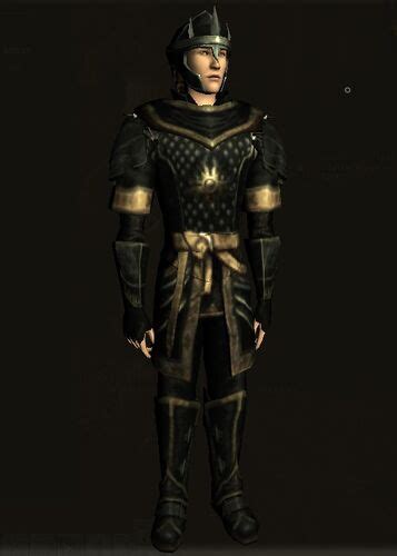 Armour Of The Shield Way Lotro