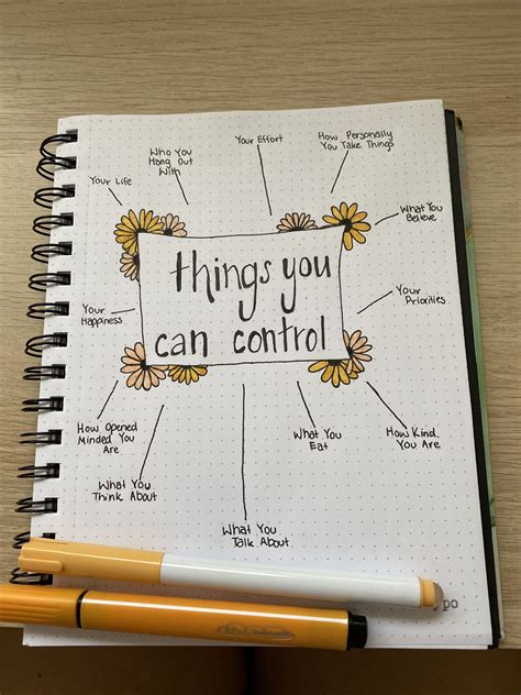 Bullet Journal Things You Can Control🌸 Bullet Journal Quotes Bullet