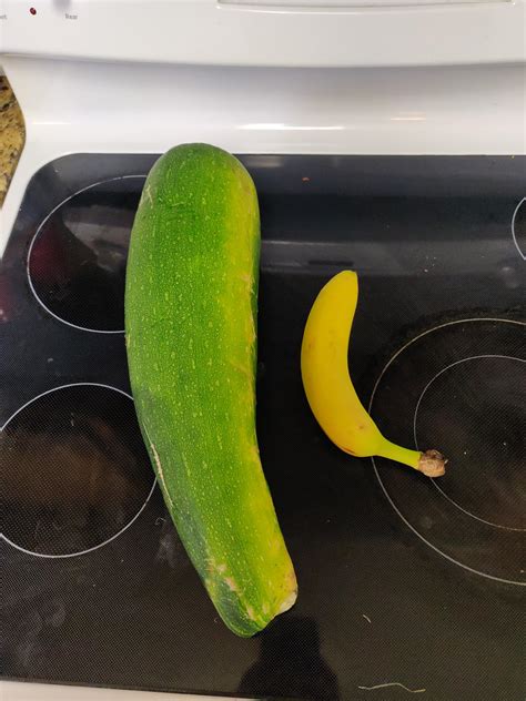 this zucchini i grew banana for scale bananasforscale