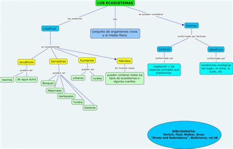 Cuadros Sin Pticos Sobre Ecosistema Y Mapas Conceptuales Sobre