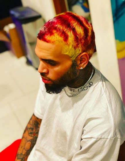 Chris Brown Debuts Rainbow Colored Hairstyle Channeling Willy Wonka