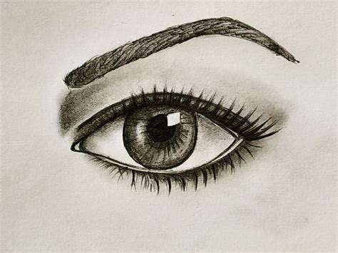 How To Sketch An Eye For Beginners At Drawing Tutorials
