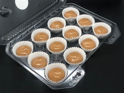 Vanilla Almond Protein Bites Fit Mama Foods