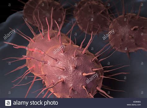 Les personnes traitées pour la gonorrhée reçoivent également un traitement contre la chlamydia car elles ont souvent ces deux infections en même temps. Neisseria gonorrhoeae, la bactérie responsable de l'infection transmise sexuellement la ...