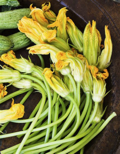 Quello tradizionale richiede soltanto un uovo, 100 grammi di latte e 100 grammi di farina. I fiori di zucca: come pulirli e cucinarli