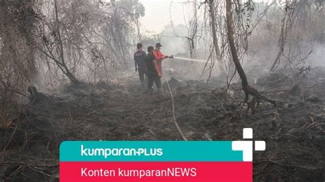Komisi Vii Dpr Desak Pemerintah Umbar Nama Perusahaan Pembakar Lahan