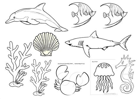 Mulai dari plankton sangat kecil sampai ke paus besar, binatang laut ini diketahui memakan plastik. Koleksi Gambar Kartun Hidupan Laut | Phontekno