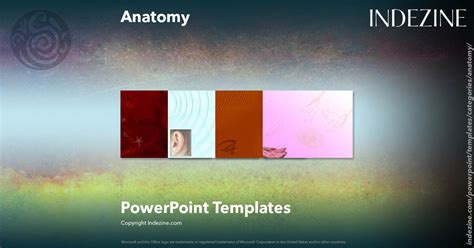 Anatomy Powerpoint Templates