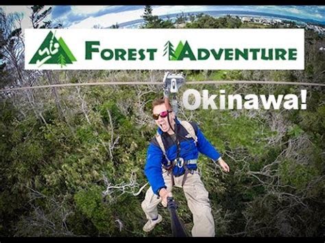 Okinawa Forest Chilangomadrid Com