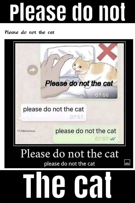 Please Do Not The Cat Repost